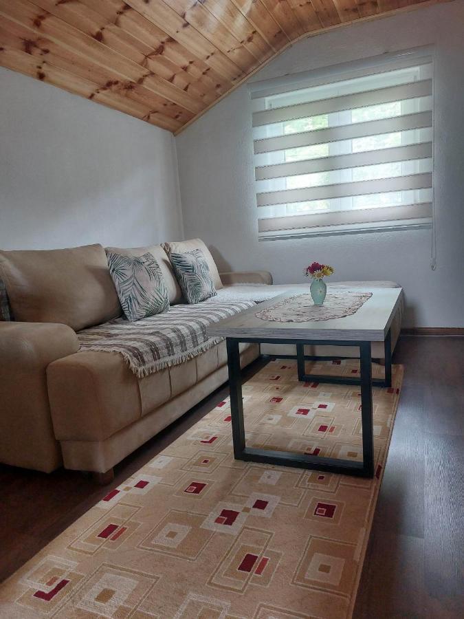 Apartman Branko Kolašin Exteriér fotografie
